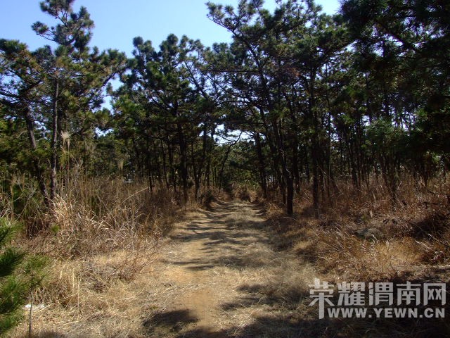 DSCF0125.JPG