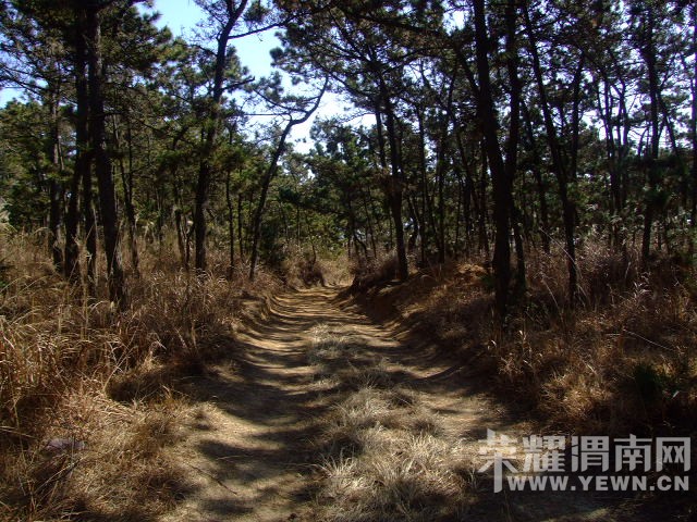 DSCF0128.JPG