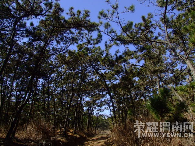 DSCF0131.JPG