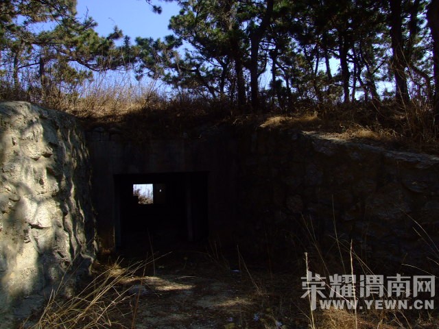 DSCF0135.JPG