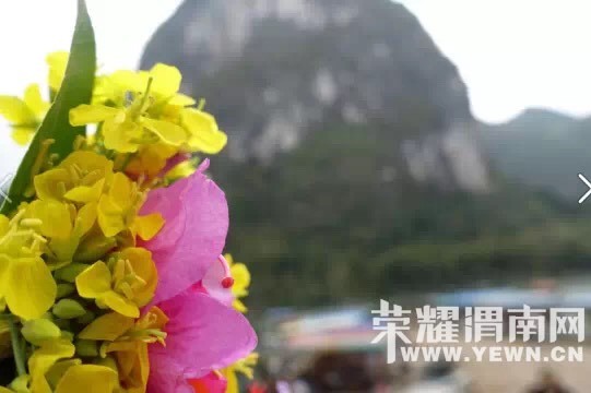 145026iflcrppldrqpi9xe.jpg