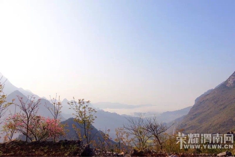 154017qhkq6oo2fcc8c43m.jpg
