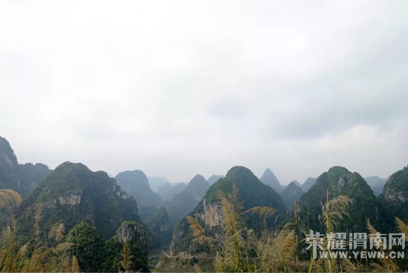 154218cg8hn07papijnghe.jpg