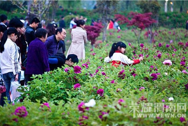 QQ��ͼ20150322100909.jpg