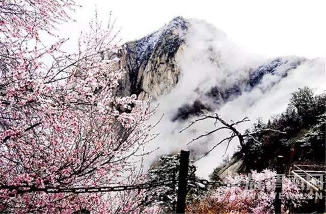 QQ��ͼ20150322100928.jpg