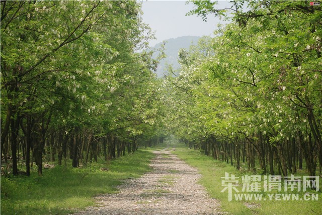 20140417093008951.jpg