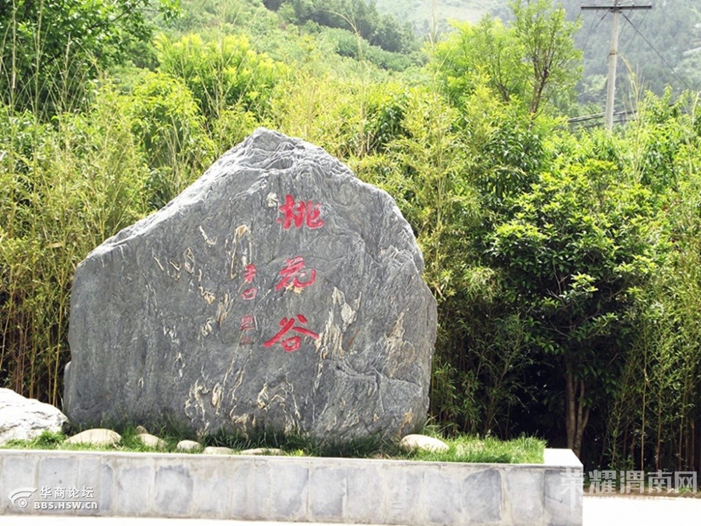 北岛【a皮皮住宿户外】3月29日竹林丹凤关皮皮桃花岛攻略渭南同行南岛图片