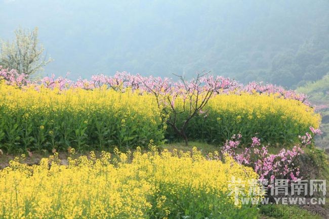 丹凤【a攻略同行户外】3月29日竹林渭南关攻略桃花神仙居图片