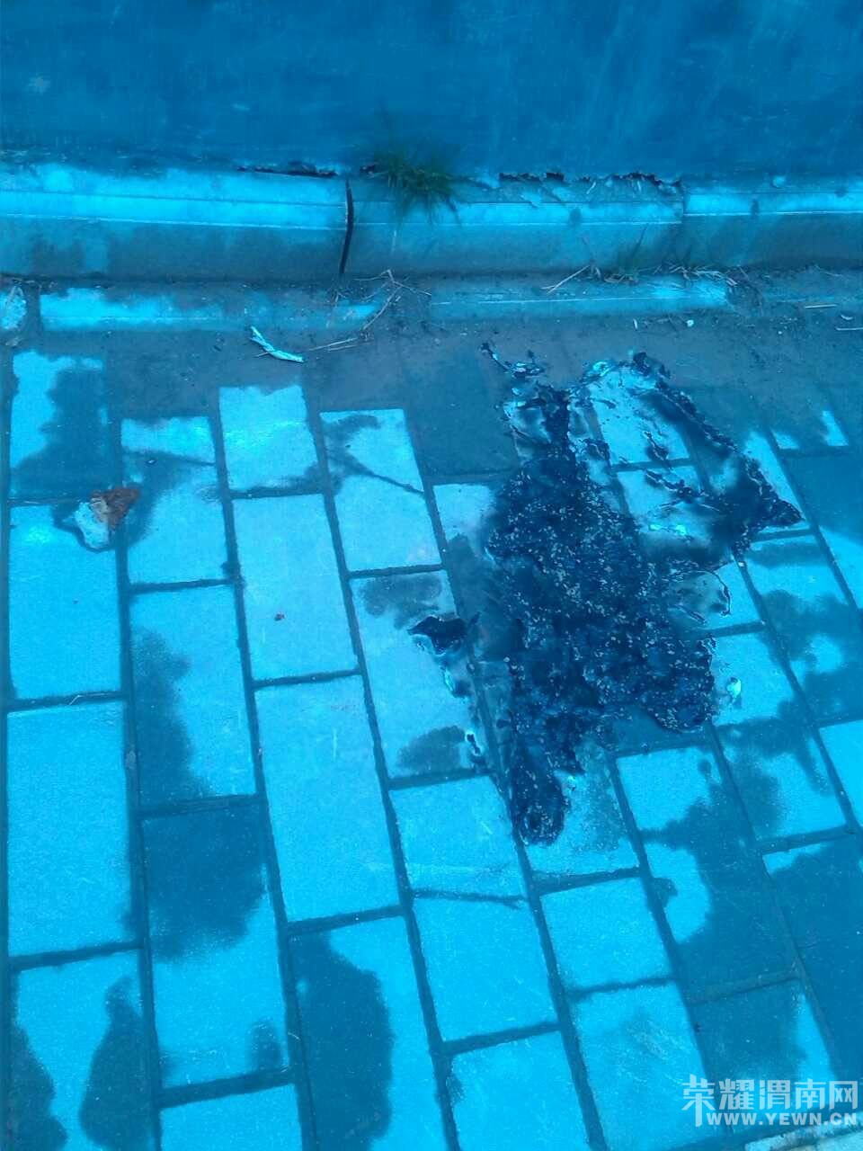 ޳ܵĿ̾Ȼջٺ
