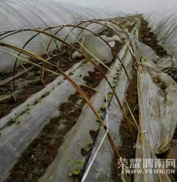 QQ��ͼ20150401231833.jpg