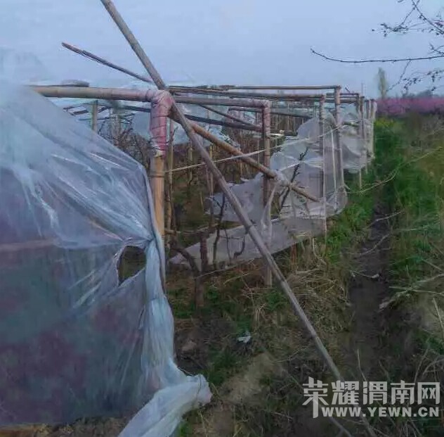 QQ��ͼ20150401231851.jpg