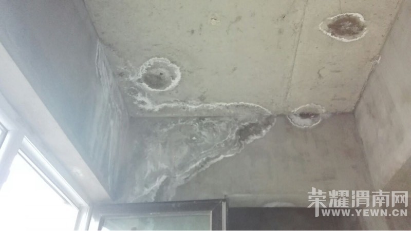 081825rb111ep433u5f3am.jpg