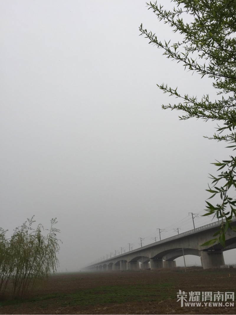 122306wx0d435ldpllc455.jpg