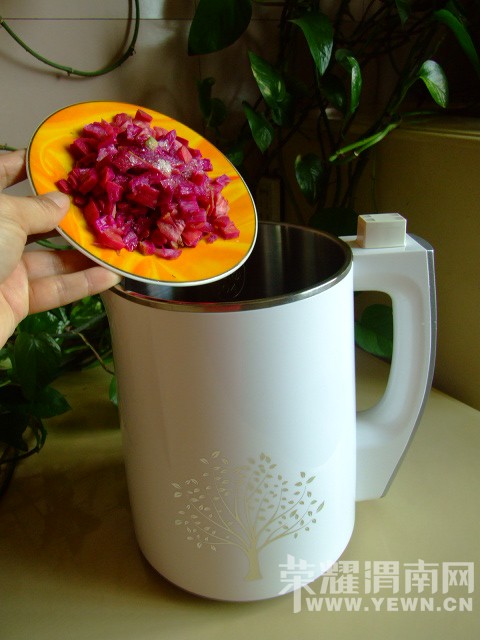 奶个老腿的,火龙果到底属不属凉性啊,来个权威