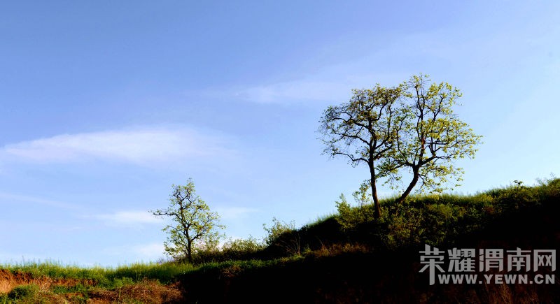 DSC_6707_o,.jpg
