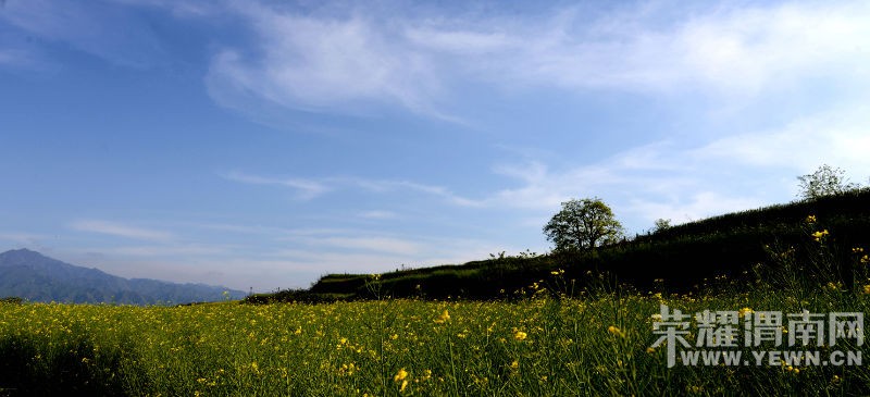 DSC_6655_o,.jpg