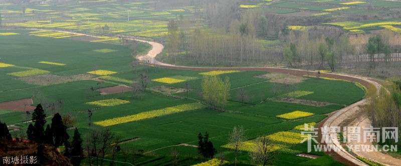 DSC_6079_o,.jpg