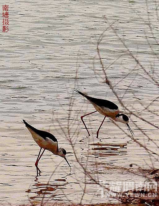 DSC_6304_o,.jpg
