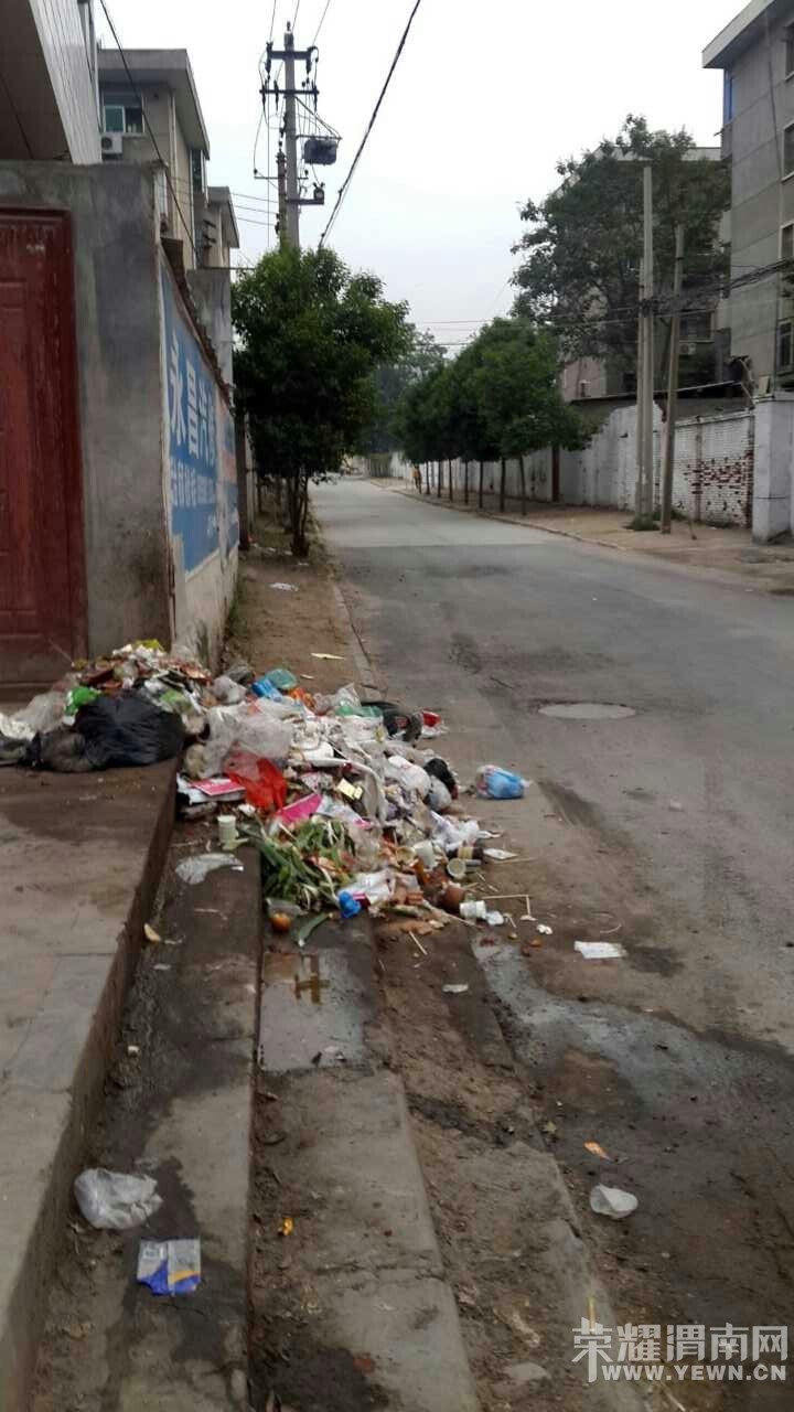 114150bklpii2lzvvpswd6.jpg