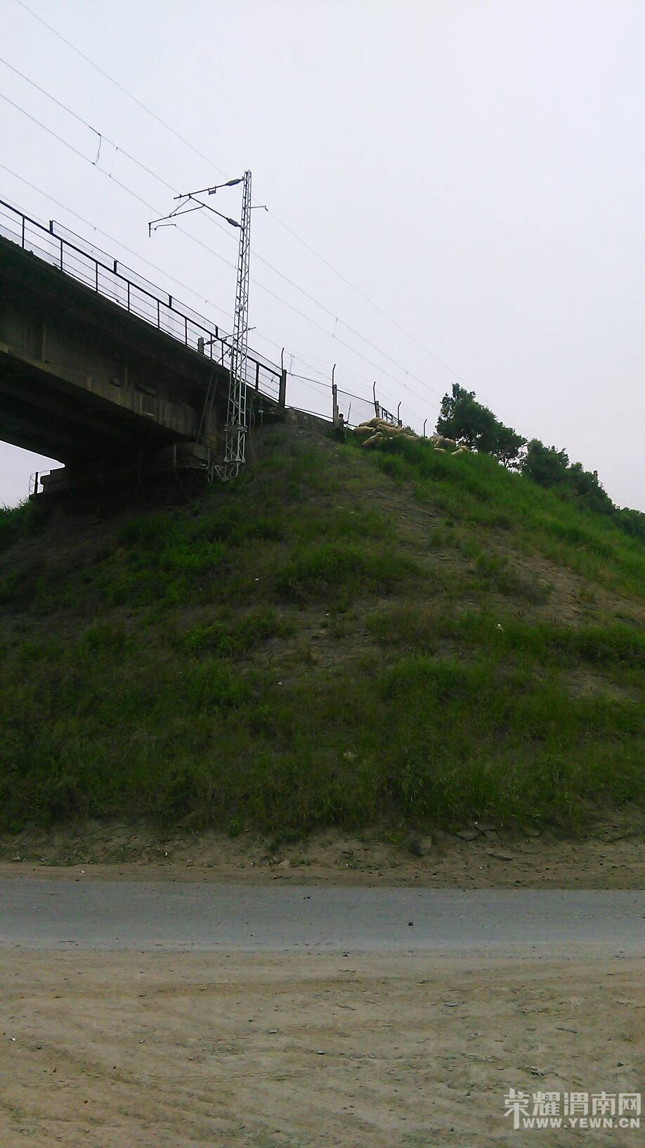 124302f1sfr5w2izo2112x.jpg
