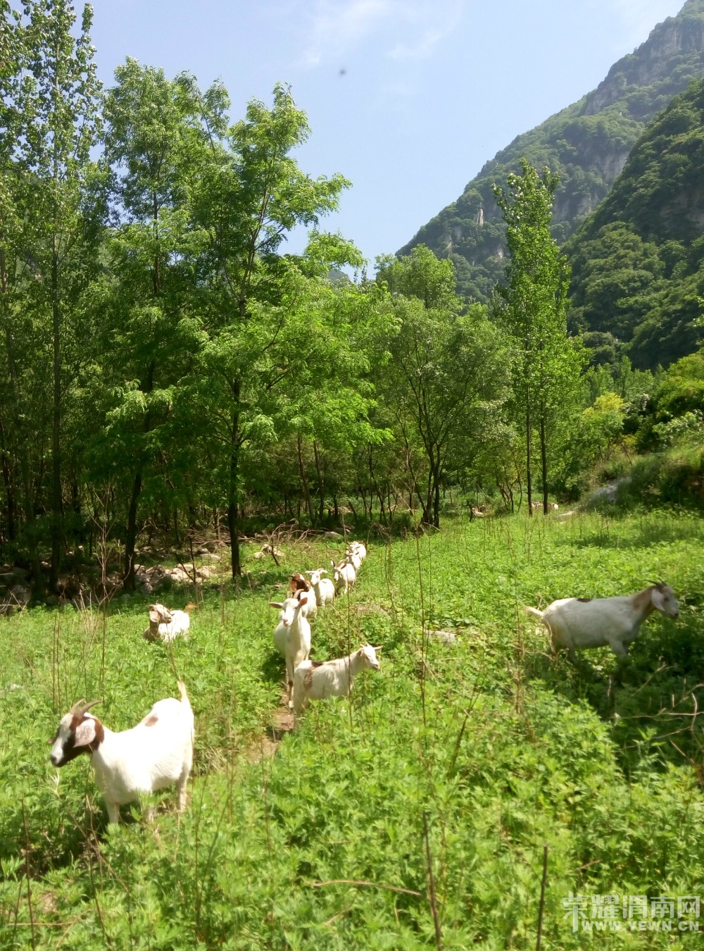 �����ɽ��