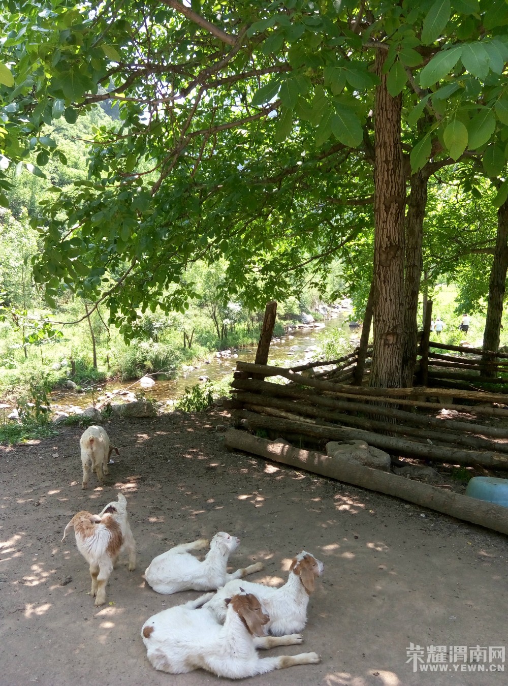 ������������