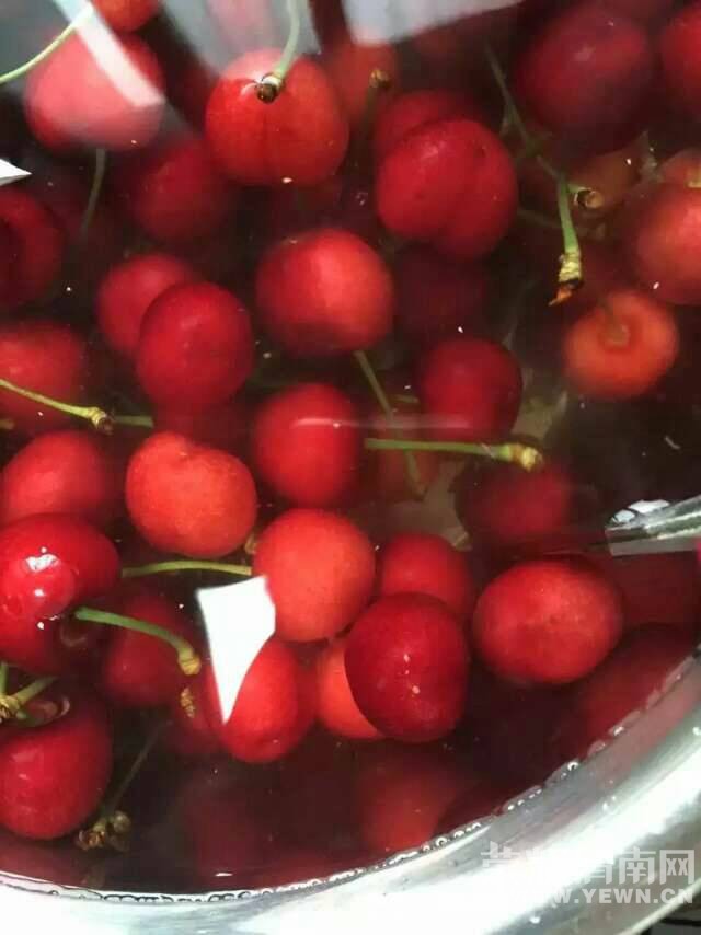 惊叹 樱桃里真的有虫子 - 百姓生活 荣耀渭南网