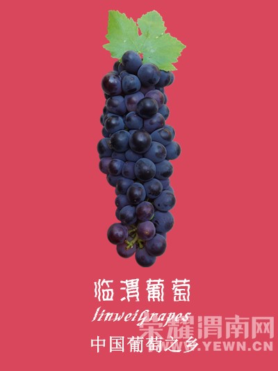 ��Ƭ 304_����.jpg