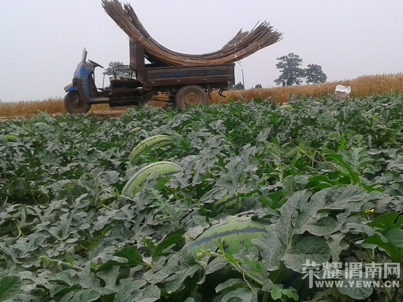 My Pictures20150602_174722_����.jpg