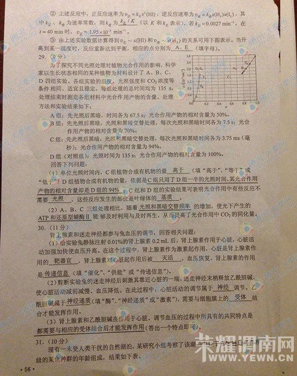 �����ۺ�09