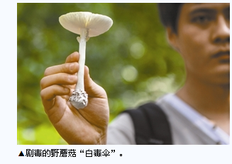 QQͼƬ20150628180020.png