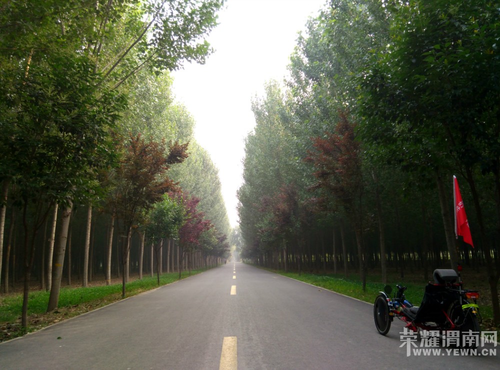 180022tyon96vzin4r1yoo.jpg