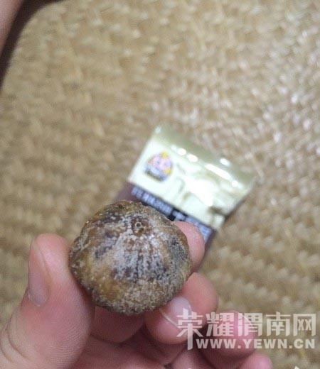 �����ǳ�ɶ�������İ����������ڵĶ��仵��