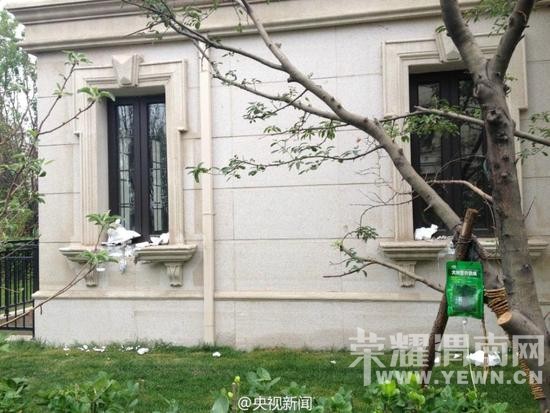 ɽ����¥����"��ĭǽ" �ϰ�ҵ�����շ���ͼ��