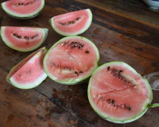 ȿ