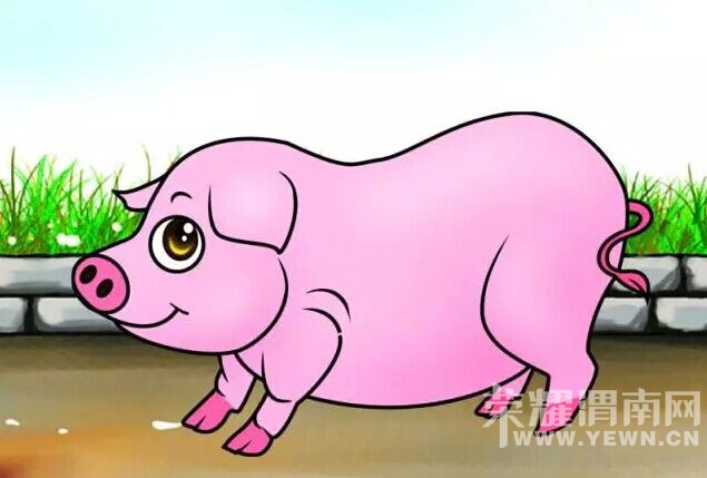 �����������Ф��ǰ����! ����������?