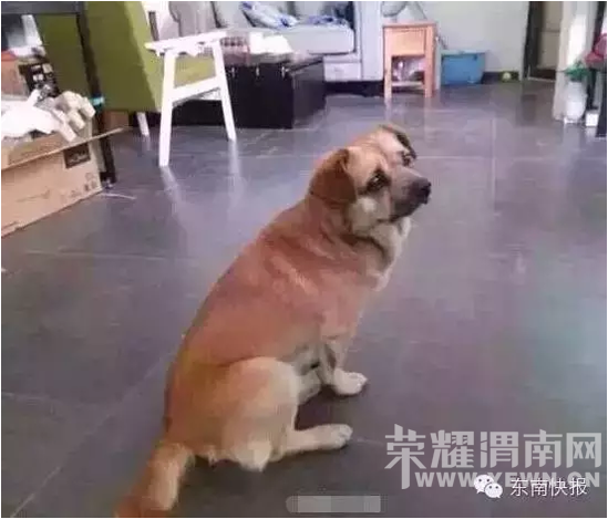 ���ﹷ������"ǿ��"��"���Ʋ�" ����ŭ������ˤ��