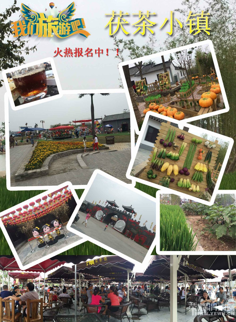 μ��[����ͬ�л���]9��12�����С��������ʳƷ��������