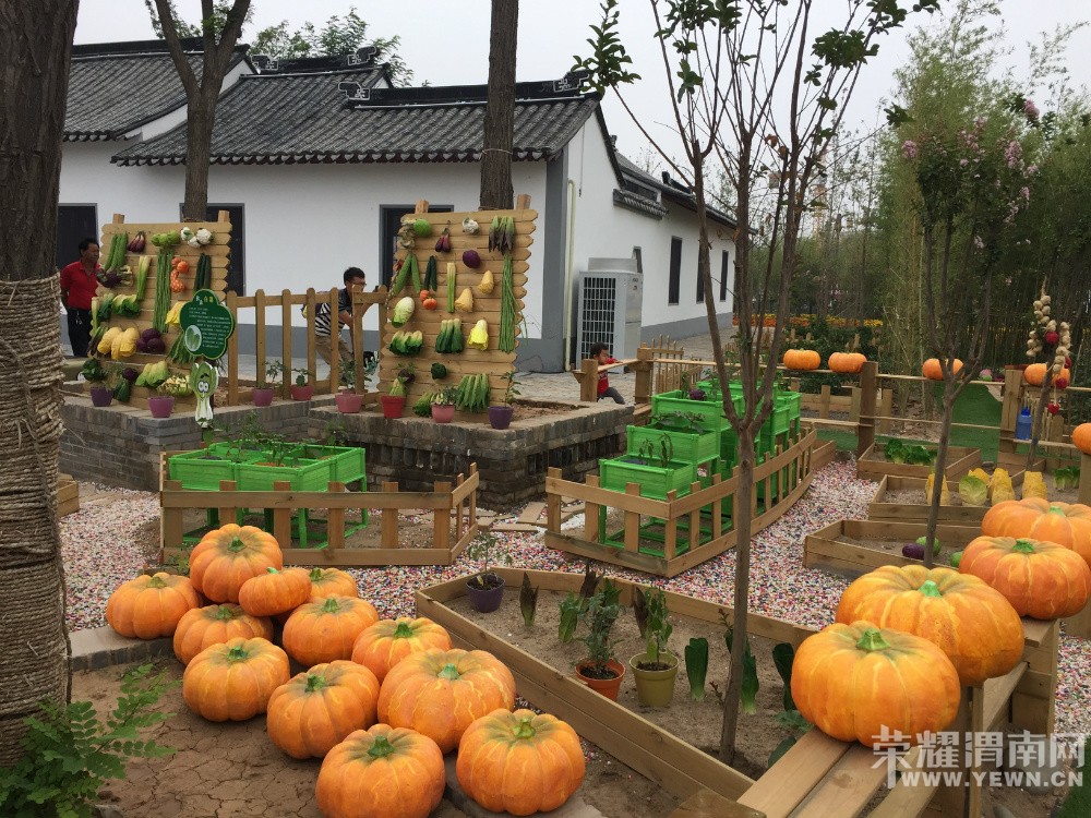 μ��[����ͬ�л���]9��12�����С��������ʳƷ��������