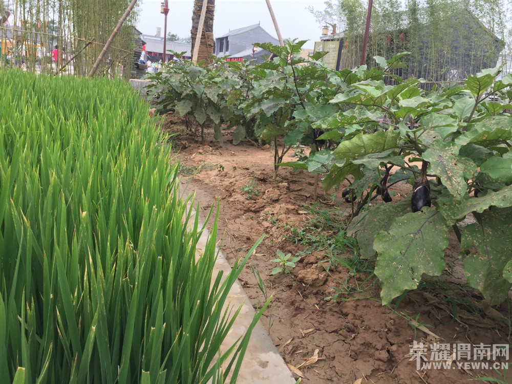 μ��[����ͬ�л���]9��12�����С��������ʳƷ��������