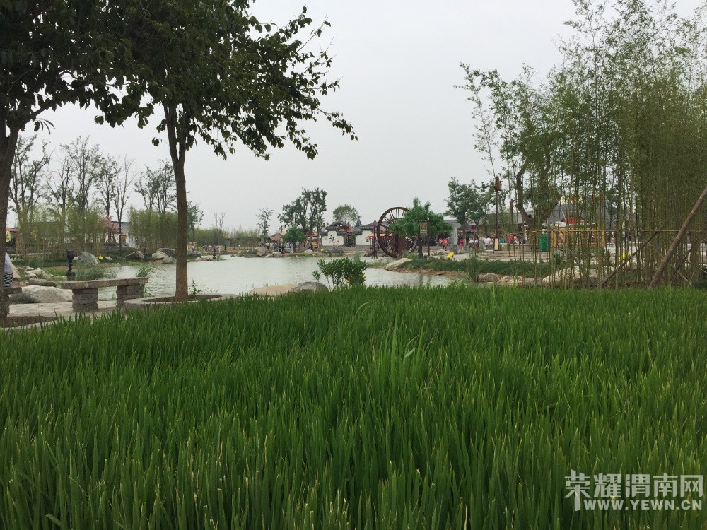 μ��[����ͬ�л���]9��12�����С��������ʳƷ��������