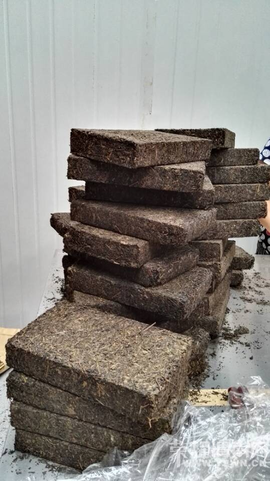 μ��[����ͬ�л���]9��12�����С��������ʳƷ��������