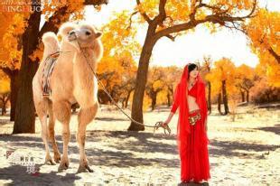 ��μ���߲ʻ��⡿����10�¶���������������������Ρ�599Ԫ/�ˡ��ؼۻ��