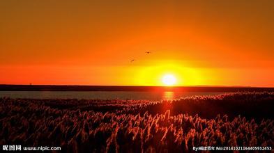 ��μ���߲ʻ��⡿����10�¶���������������������Ρ�599Ԫ/�ˡ��ؼۻ��