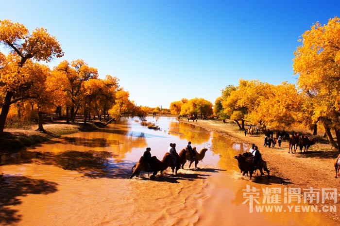 ��μ���߲ʻ��⡿����10�¶���������������������Ρ�599Ԫ/�ˡ��ؼۻ��