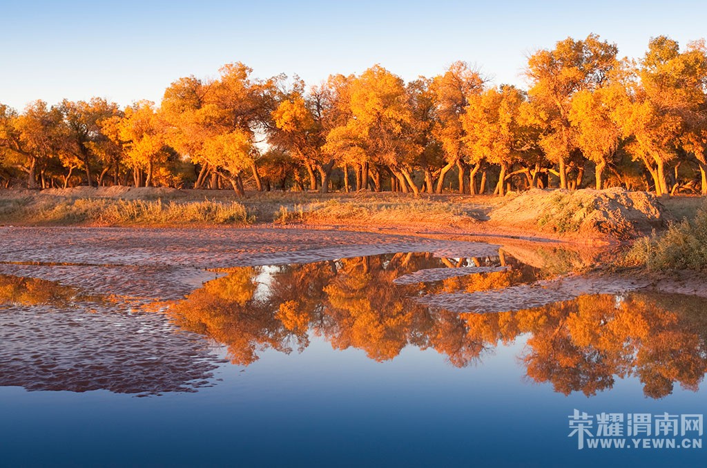 ��μ���߲ʻ��⡿����10�¶���������������������Ρ�599Ԫ/�ˡ��ؼۻ��