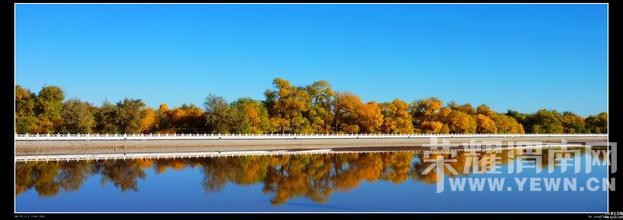 ��μ���߲ʻ��⡿����10�¶���������������������Ρ�599Ԫ/�ˡ��ؼۻ��