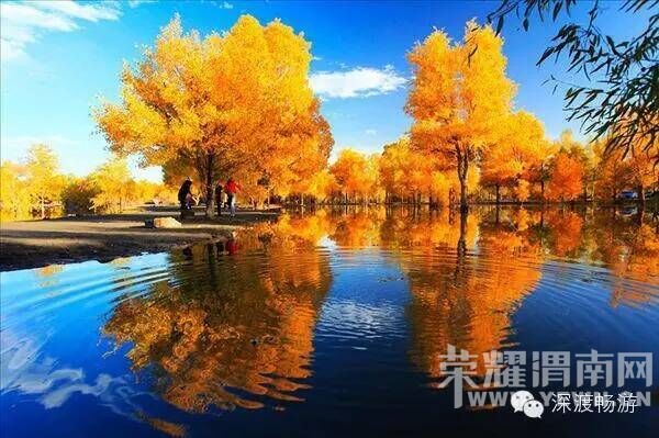 μ�ϡ�����ͬ�л��⡿���������5�죬6�졣7���μ۸���Ż�ʱ������ѡ���������㡣