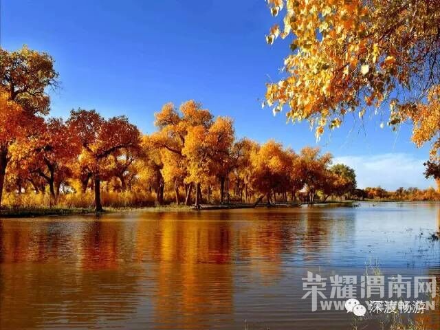 μ�ϡ�����ͬ�л��⡿���������5�죬6�졣7���μ۸���Ż�ʱ������ѡ���������㡣