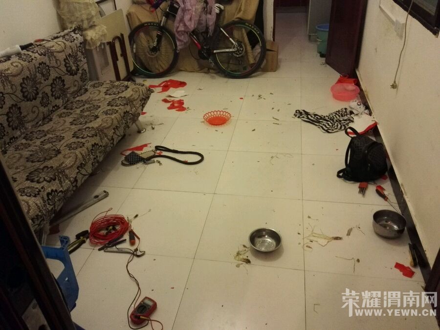 看我不揍死你个小瘪三,气死我了都,下午要吃狗肉么!!!